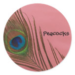 Dark Peacock Feather Round Stickers