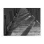Dark Pier Postcrad Post Card