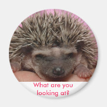 dark pink 3, What are you looking at? Magnets