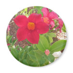 Dark Pink Flower Fridge Magnet