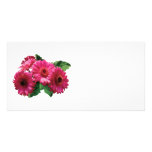Dark Pink Gerbera Daisies Customized Photo Card