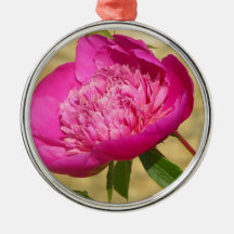 Dark Pink Peony Ornaments