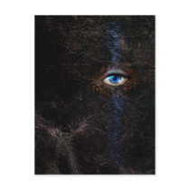 Dark Postcard