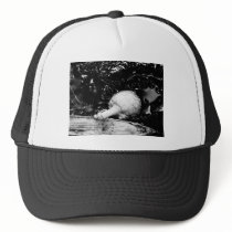 dark protector hats