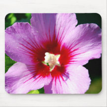 Dark purple Rose of Sharon mousepad