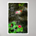 Dark rain,poster