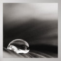 Dark Rain Poster posters