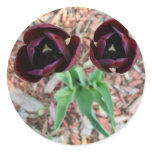 Dark Red Tulip Stickers