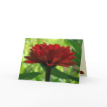 Dark Red Zinnia Valentine cards