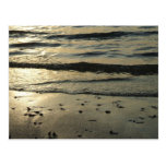 Dark Reflections Postcard