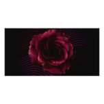 Dark Rose Photo Card photo cards