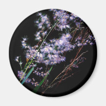 Dark seranade refrigerator magnets