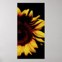Dark Sun posters