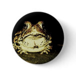 Dark Toad buttons