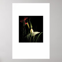 dark wetland poster