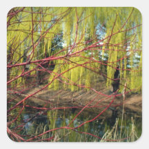 Dark Willows Square Sticker