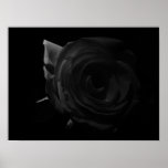 Darkened Rose Posters