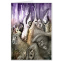**DarKy's mEetiNg** cards