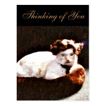 Darling,Cat_ Postcards