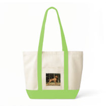 Darling Dog and Puppy Photos Cards, Postage, Gifts Bag