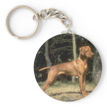 Darling Dog and Puppy Photos Cards, Postage, Gifts