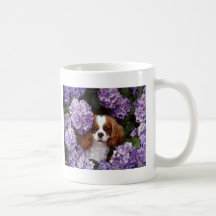 Darling Dog Photos Cards, Gifts - Customise Mug