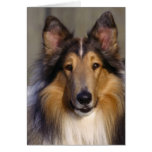 Darling Dog Photos Cards, Gifts - Customize