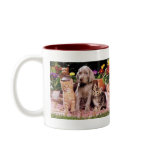 Darling Dog Photos Cards, Gifts - Customize Coffee Mugs