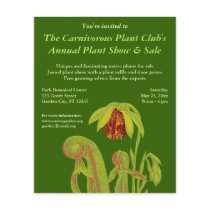 Darlingtonia californica, Carnivorous Plant