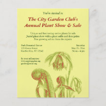 Darlingtonia californica, Carnivorous Plant Full Colour Flyer