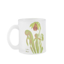 Darlingtonia californica, Carnivorous Plant Mug