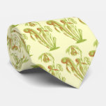Darlingtonia californica, Carnivorous Plant ties