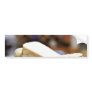 Darsonval Cheese Bumper Stickers