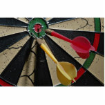 Dart board game photo sculptures