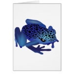 Dart Frog Greeting Cards