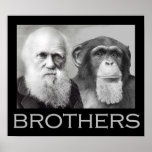 Darwin and Chimp Brothers posters