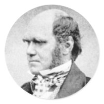 Darwin Aufkleber