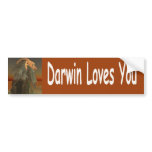 Darwin bumper stickers