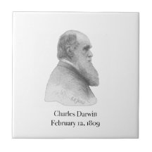 Darwin Ceramic Tiles
