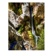 Darwin Falls Post Cards