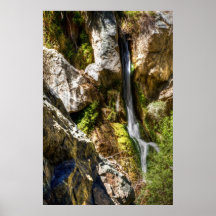 Darwin Falls Print