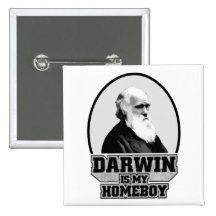 Darwin Is My Homeboy Pinback Button