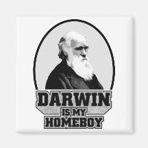 Darwin Is My Homeboy Refrigerator Magnets