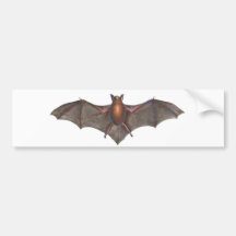 Darwin Loved Bats Happy Halloween Bumper Sticker