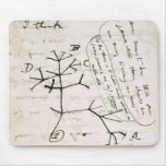 darwin mousepads