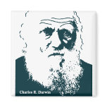 Darwin Picture. Magnet