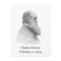 Darwin Postcard