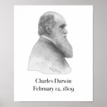 Darwin Poster posters