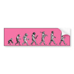 Darwin Rabbit Bumper Sticker bumper stickers