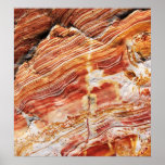 Darwin Rock Art posters